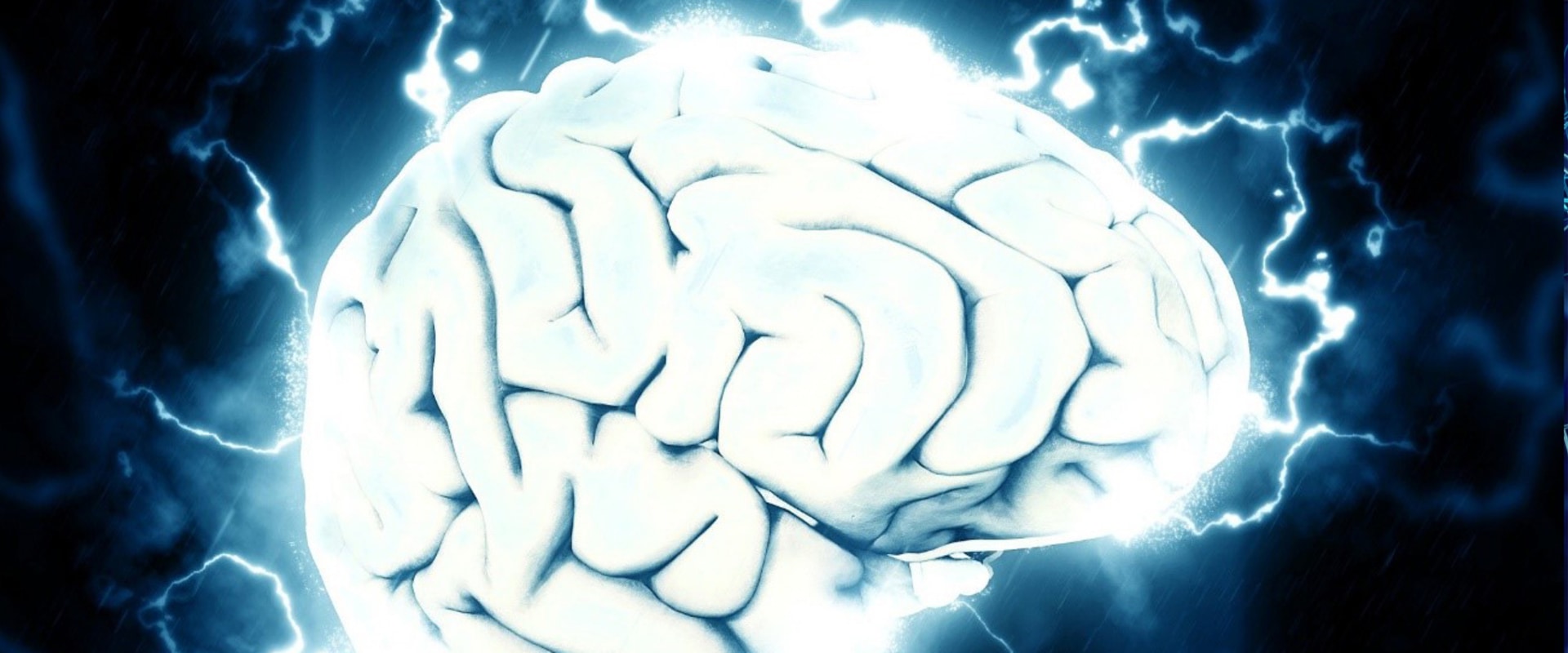 What Part of the Brain Does Addiction Start In?