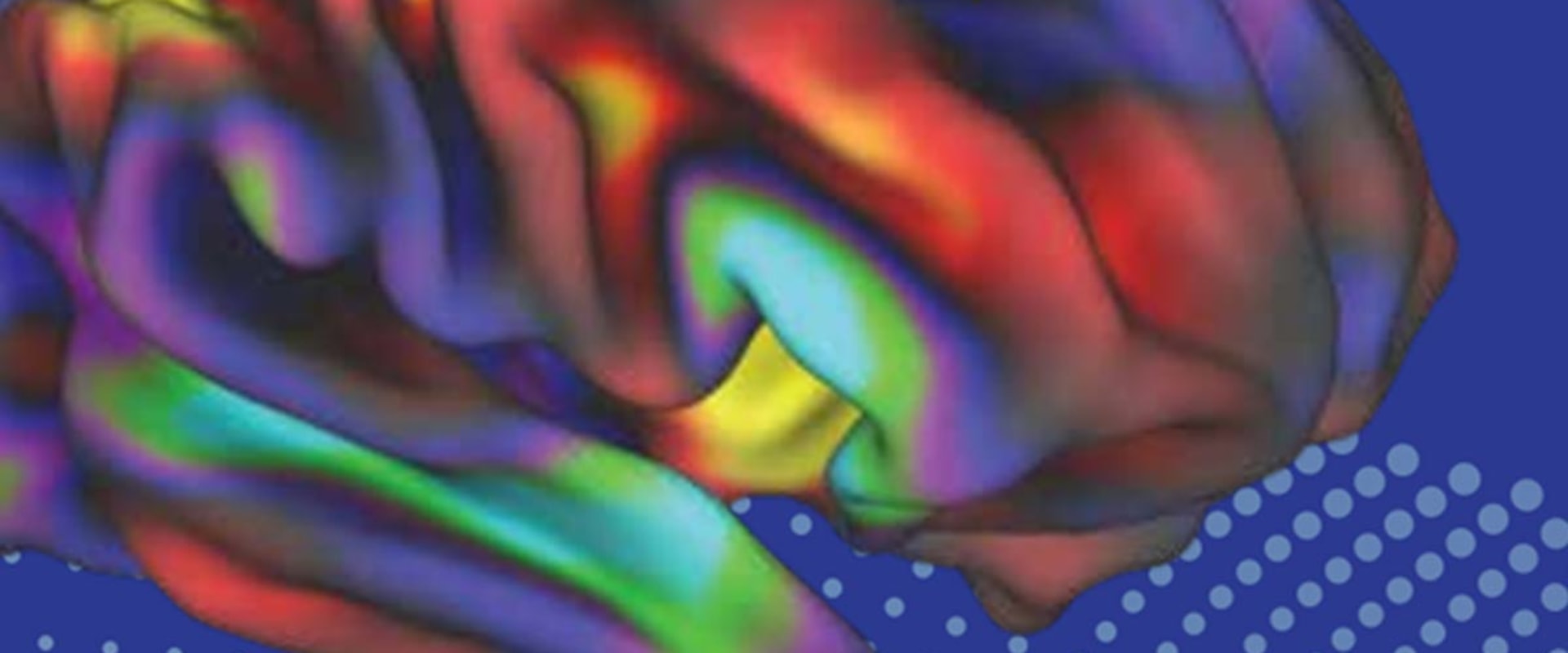 The Brain's Role in Drug Addiction: How Does It Start?
