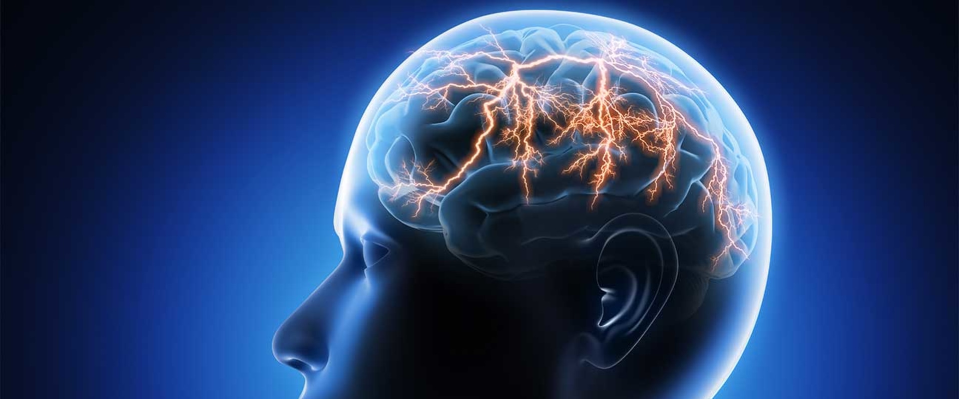 What Part of the Body is Responsible for Addiction?