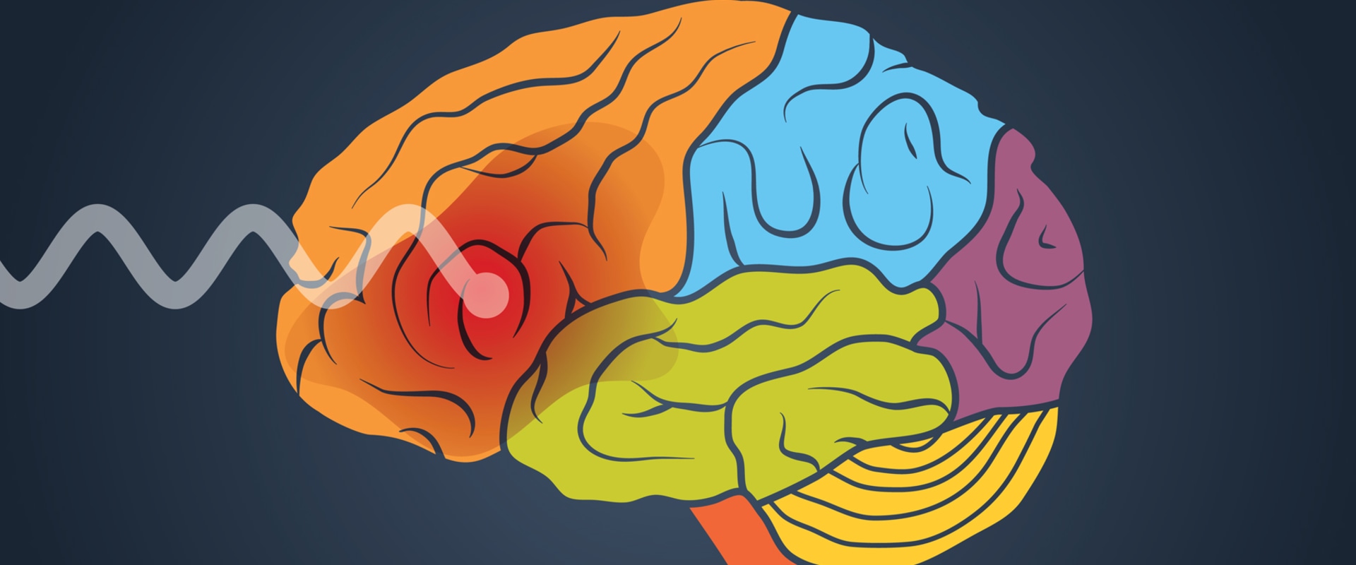 What Part of the Brain is Responsible for Addiction?