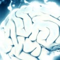 The Brain Disease of Addiction: How It Affects Three Areas of the Brain