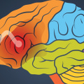 What Part of the Brain is Responsible for Addiction?